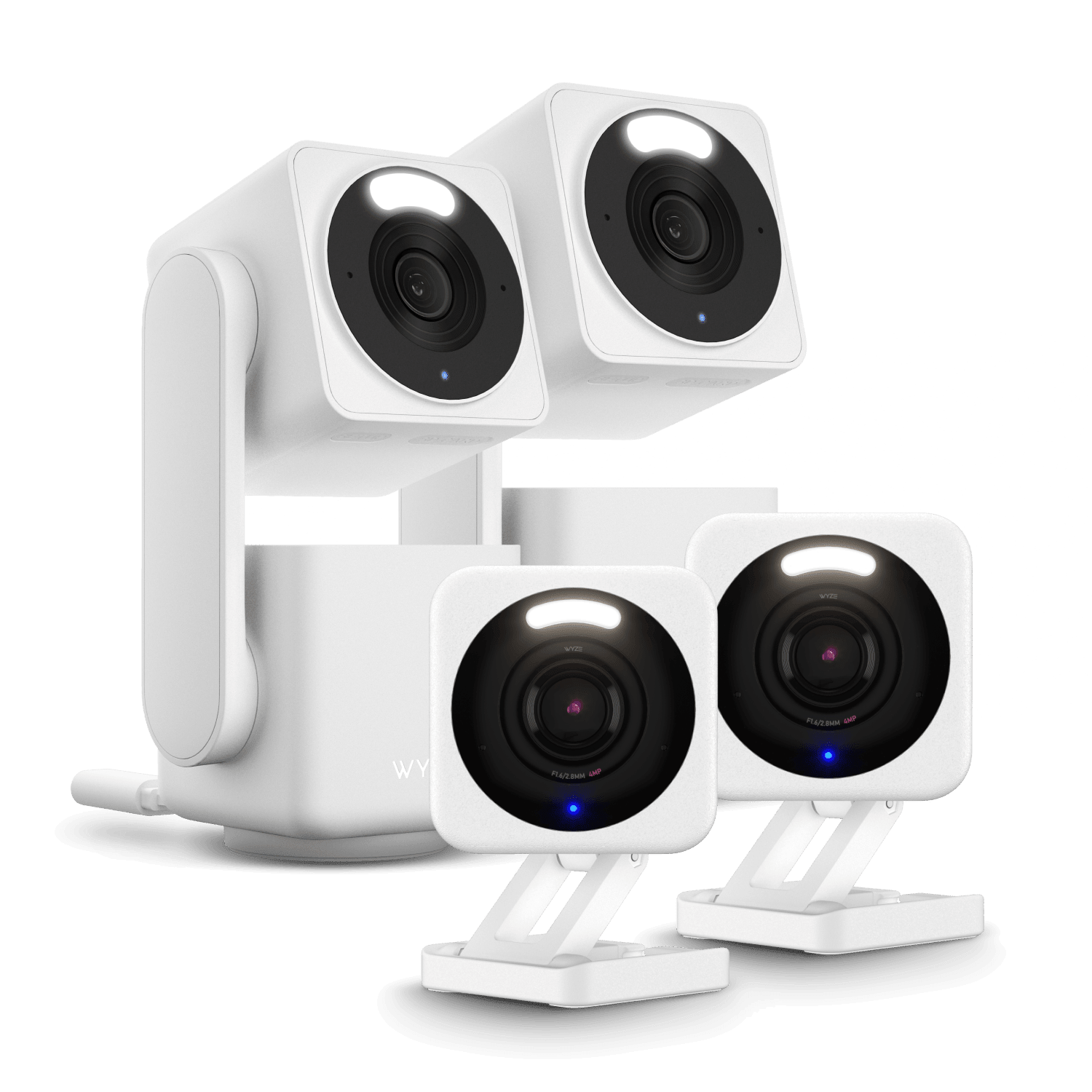 Small Business Monitoring Plus