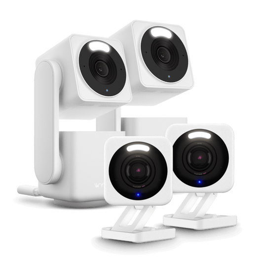 Small Business Monitoring Plus