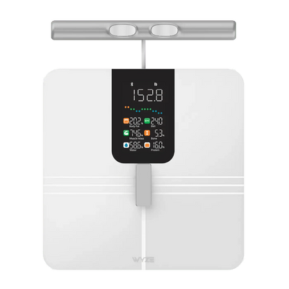 Wyze Scale BodyScan