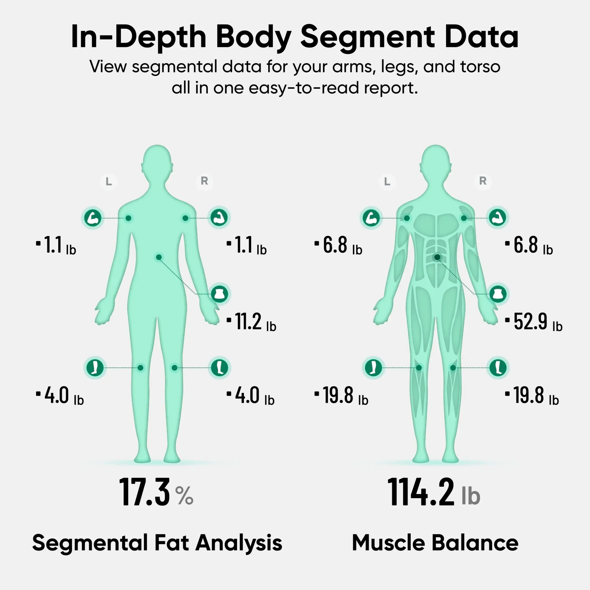 Wyze Scale BodyScan