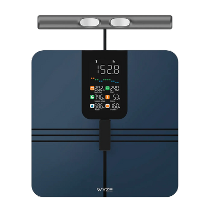 Wyze Scale BodyScan